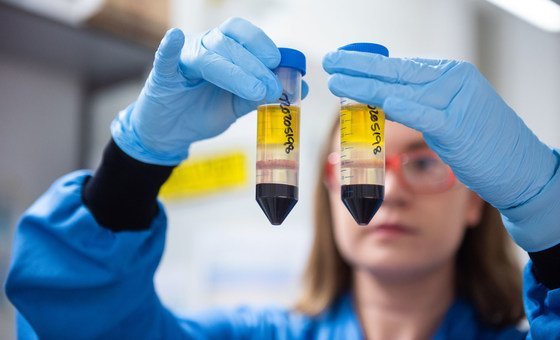 La inteligencia artificial redefine el futuro laboral de los jóvenes